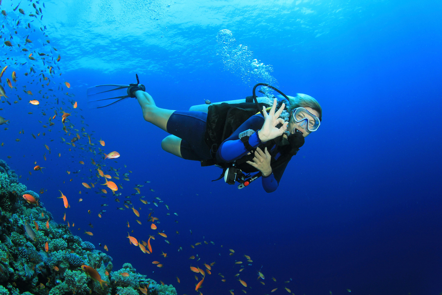 Best places to go scuba diving in the UAE Time Out Dubai