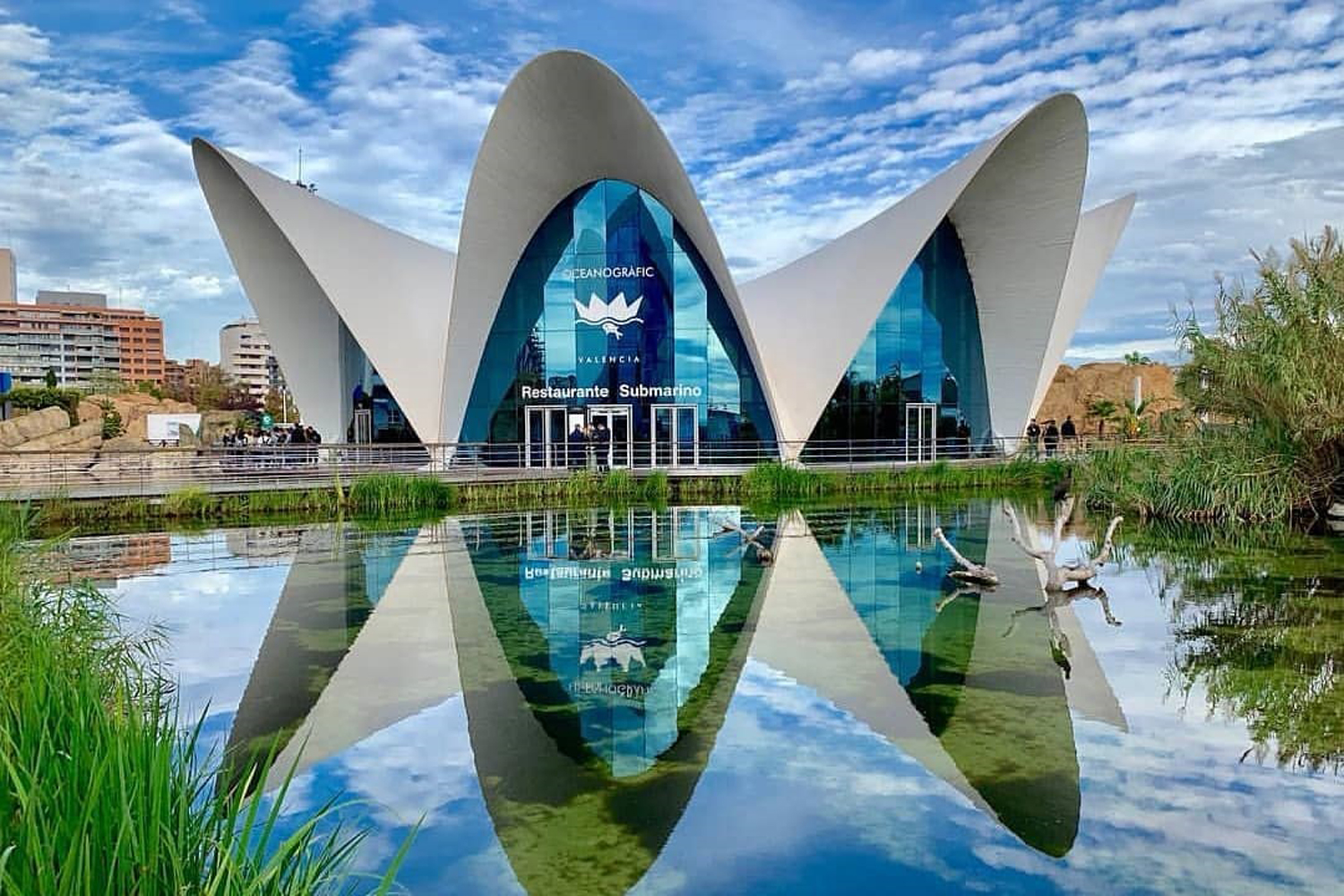 You can explore Europe’s largest aquarium from home in the UAE | Time