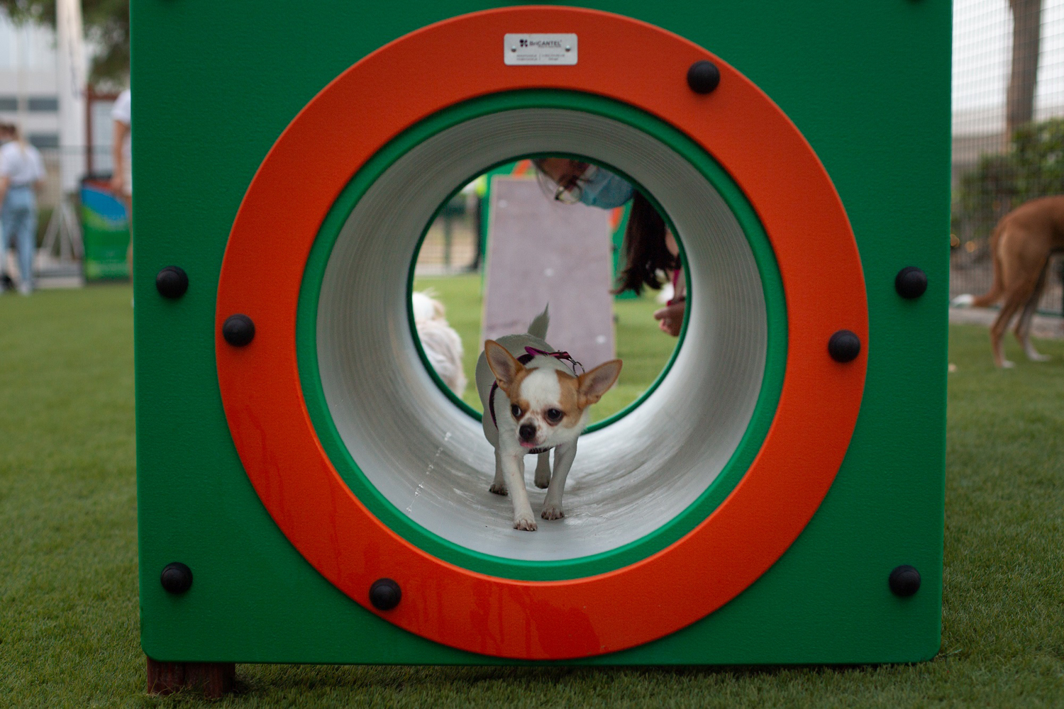 Bark sales park dubai