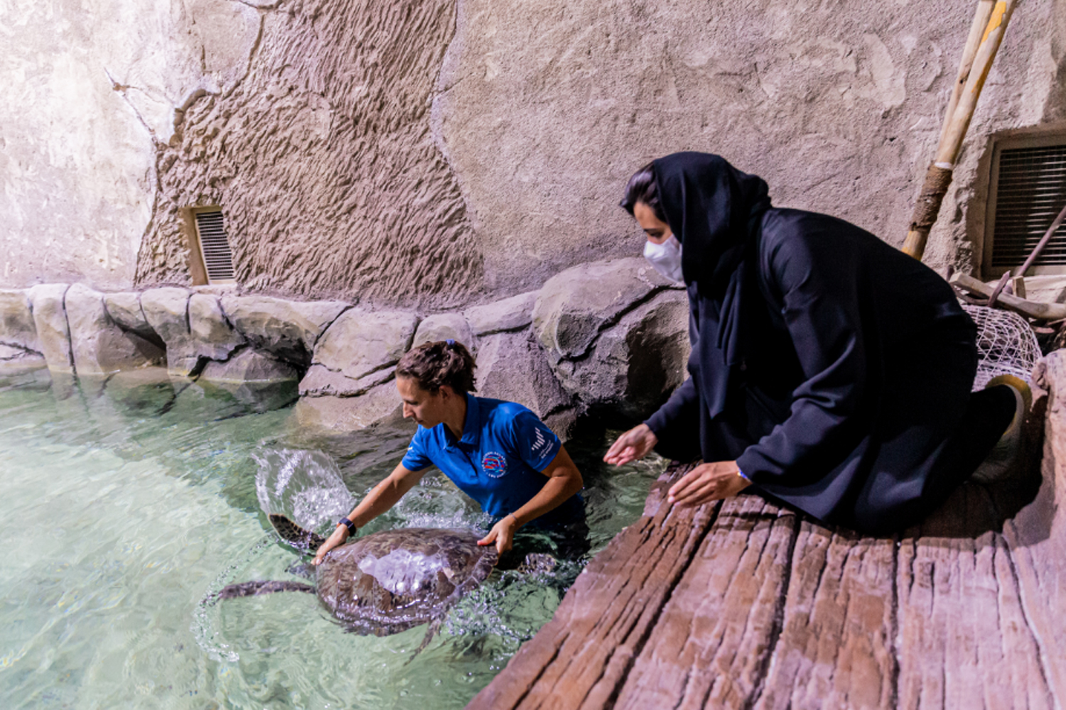 Abu Dhabi's National Aquarium is rehabilitating animals ahead of opening |  Time Out Dubai