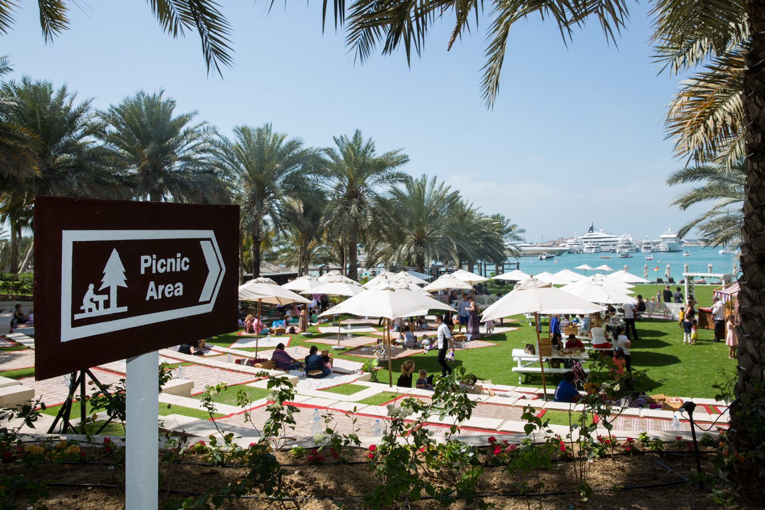 Dubai’s best picnic areas 2020 Time Out Dubai