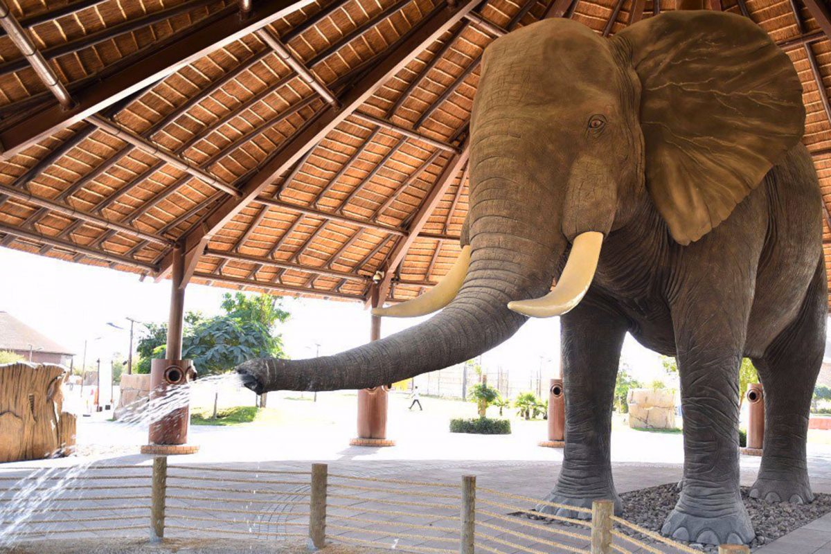 Dubai Safari Park opening date for winter 2022 Dubai Safari Park opening date for winter 2022