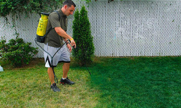 Spraying grass green deals
