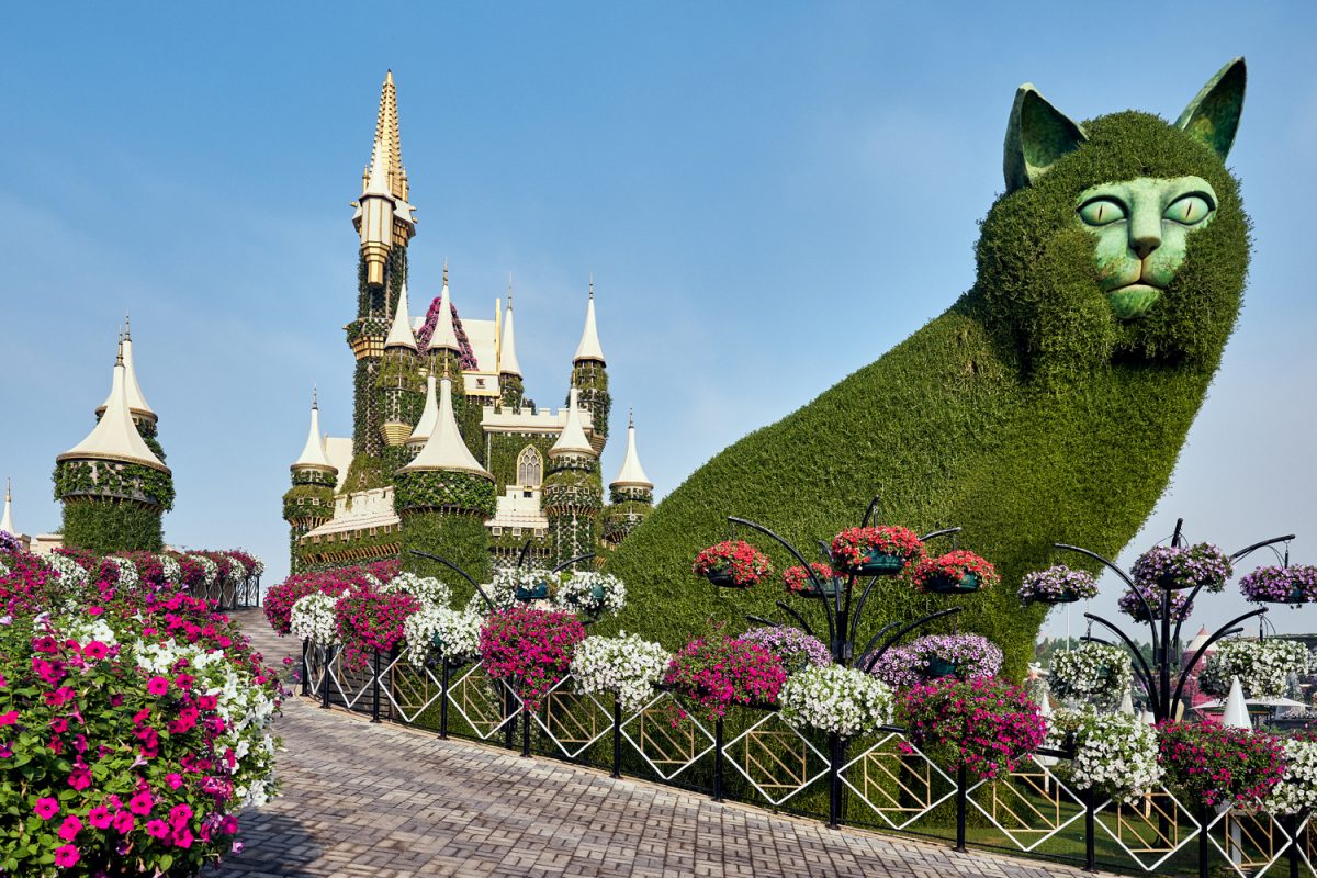 Miracle Garden Дубай