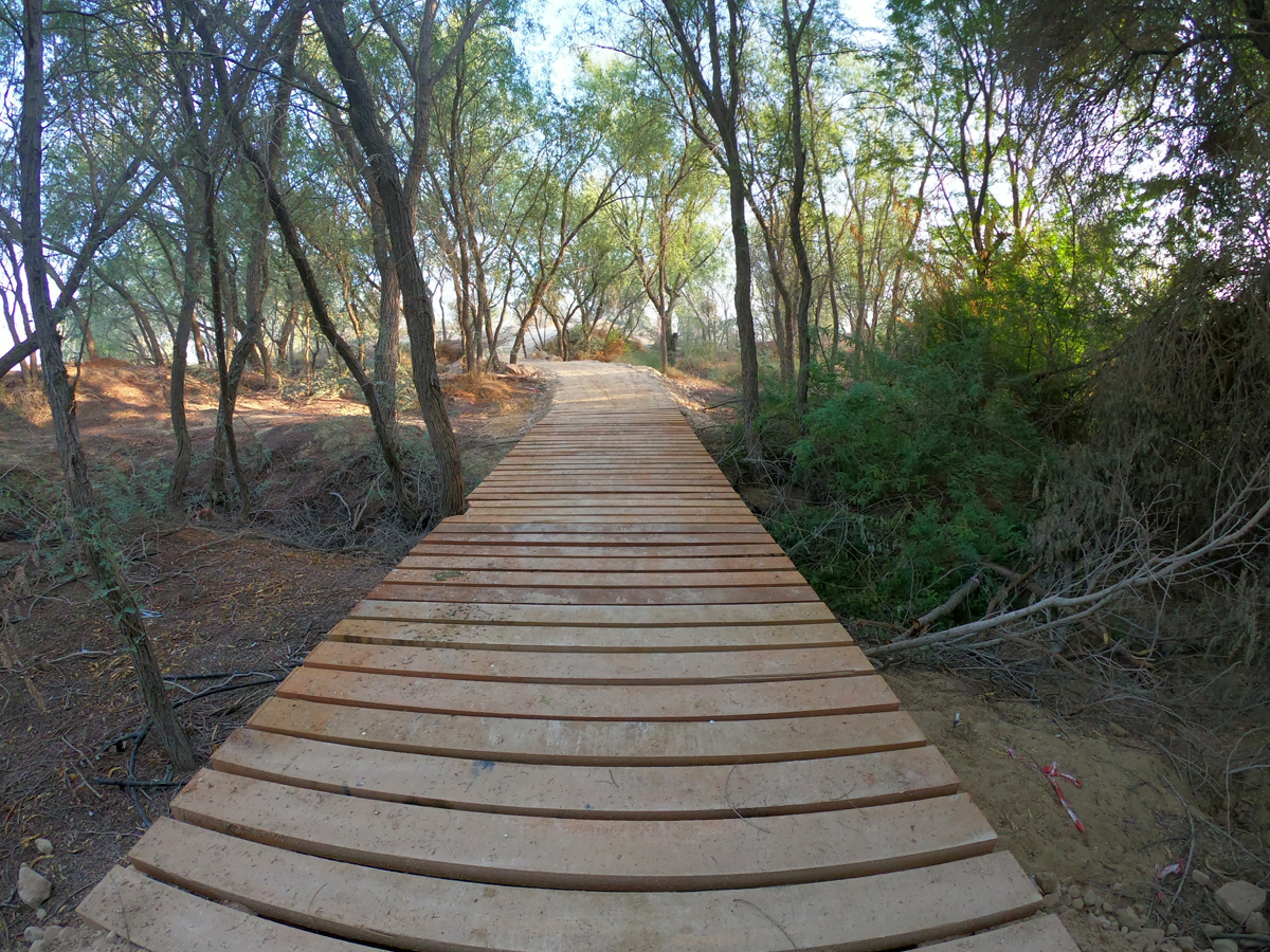Mtb trail park outlet