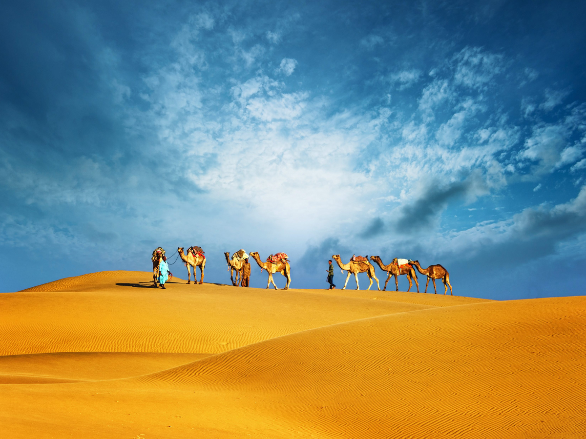 booking for desert safari in dubai