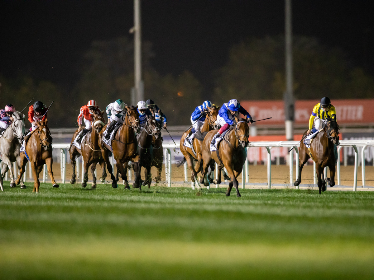 Dubai World Cup 2022 Everything you need to know Time Out Dubai