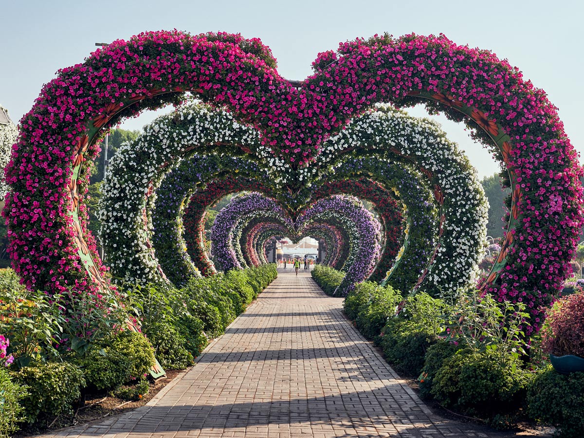 Dubai miracle garden 2023 opening date Dubai Miracle Garden is