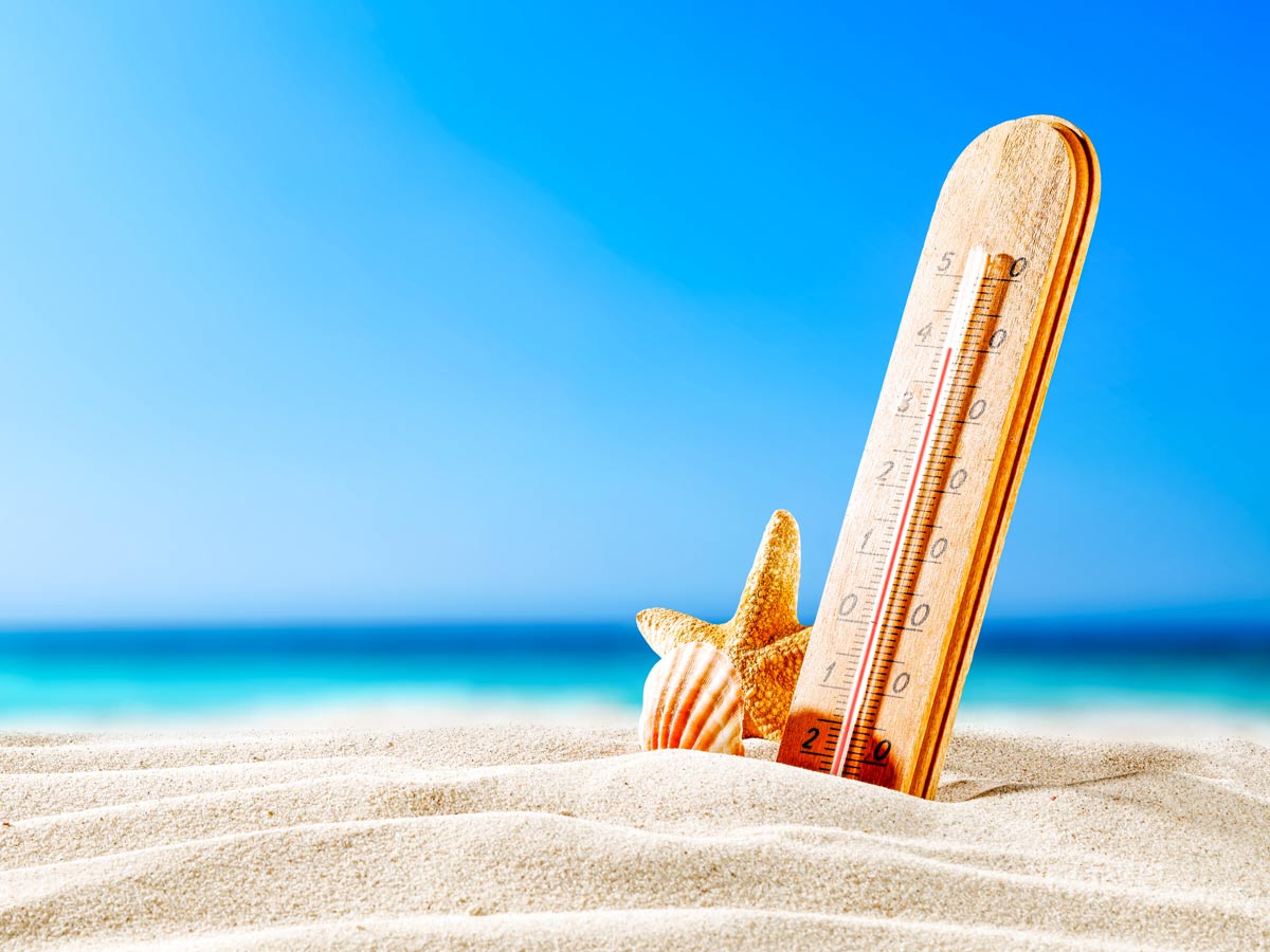 Summer heat 0.6 download. Жара фон
