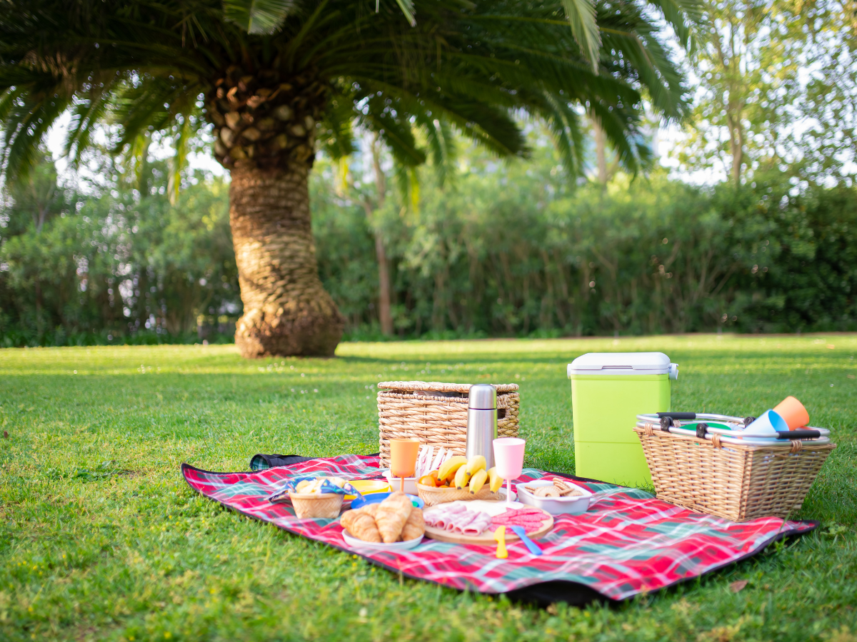 Picnicking and Barbecuing at Creek Park Dubai
