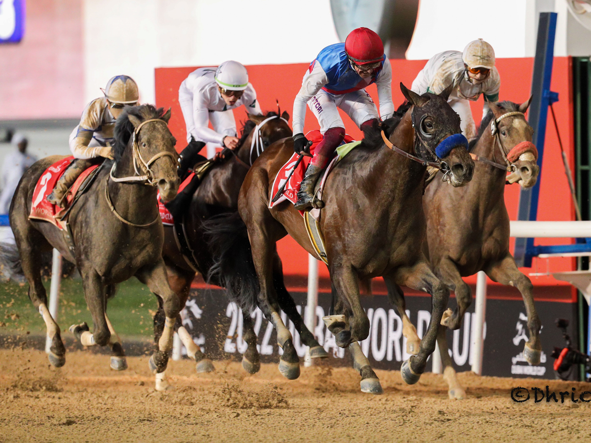 Dubai World Cup 2023 Everything you need to know