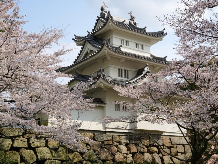Japan Visa All Uae Residents Can Now Apply Online For Entry Japan Visa All Uae Residents Can Now Apply Online For Entry