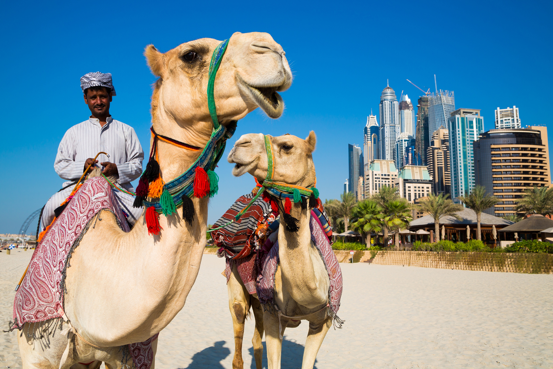The most familyfriendly Dubai beaches Things To Do Time Out Dubai