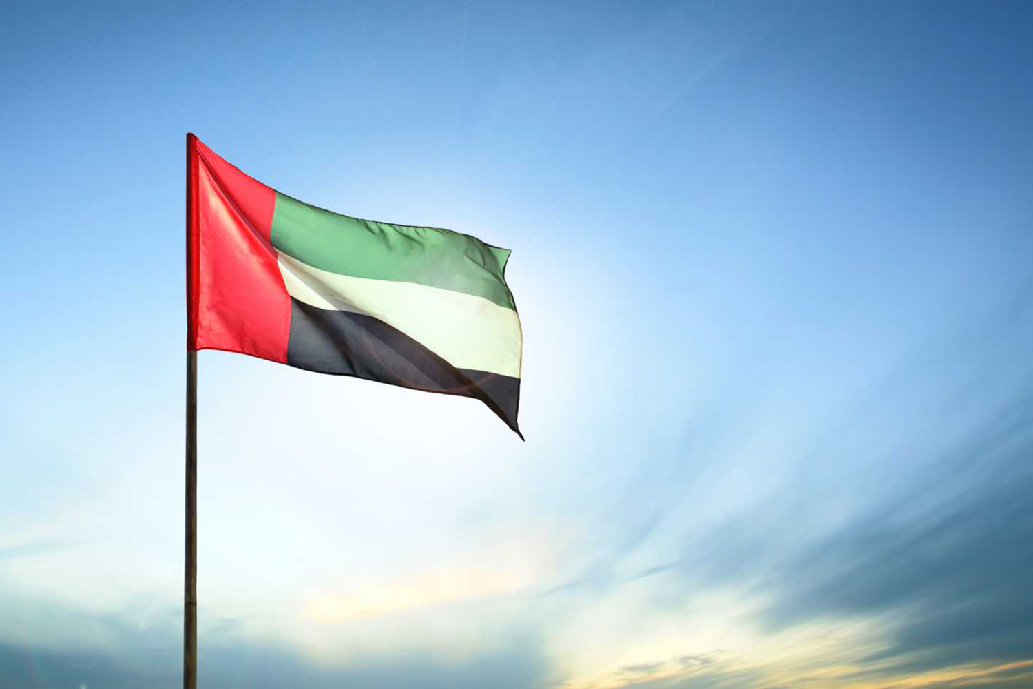 UAE’s National Sterilisation Programme has now ended | News | Time Out