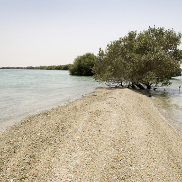 10 Top Uae Camping Spots Things To Do Time Out Dubai