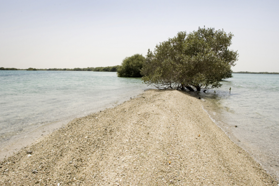 10 Top Uae Camping Spots Things To Do Time Out Dubai