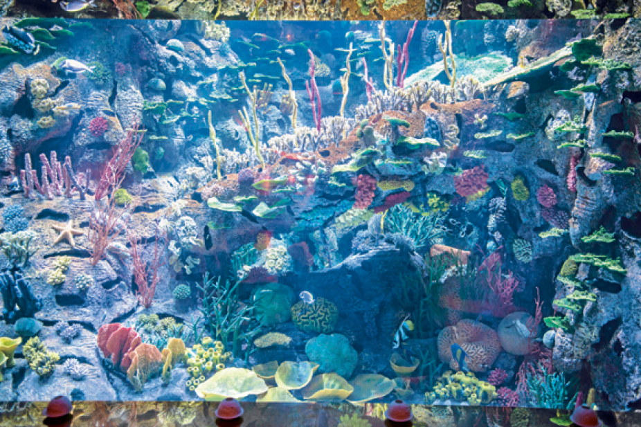 5 best aquariums in dubai things to