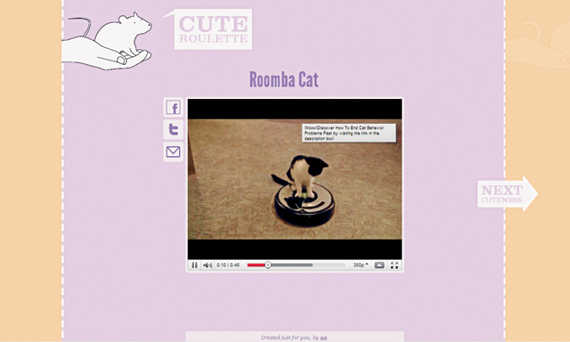 Cute Roulette Animals Cute Roulette Animals