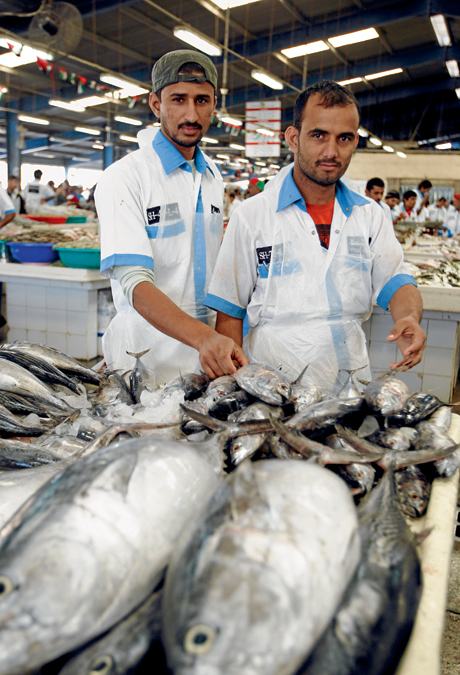 A Day In The Life Of Dubai S Fishmongers Things To Do Time Out Dubai