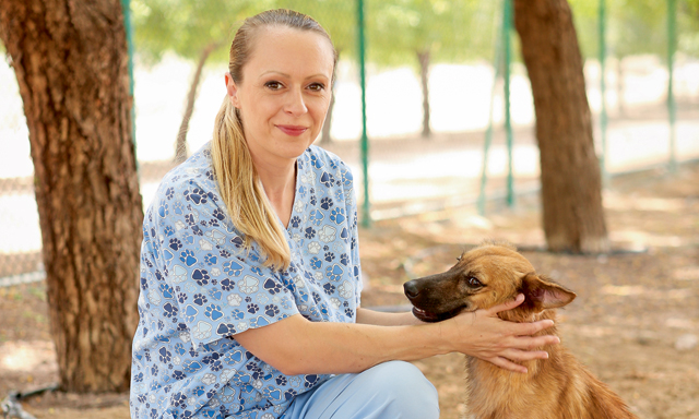 Sharjah Cat And Dog Shelter Profile Community Things To Do