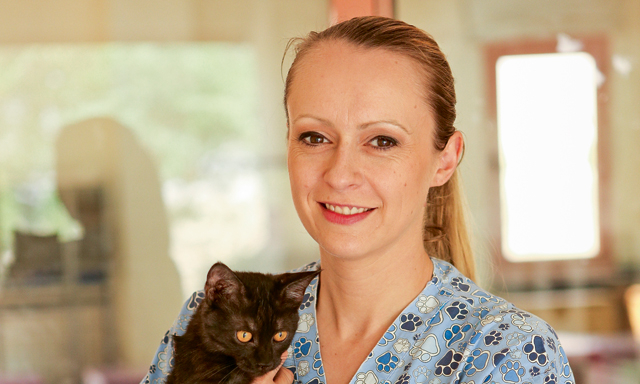 Sharjah Cat And Dog Shelter Profile Community Things To Do