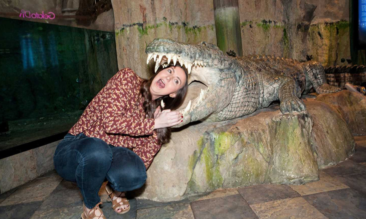 Dubai Aquarium And Underwater Zoo Meet The Animals Things To