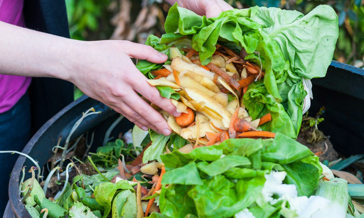 Uae S New Food Banks The Solution To Food Waste Issue Things To