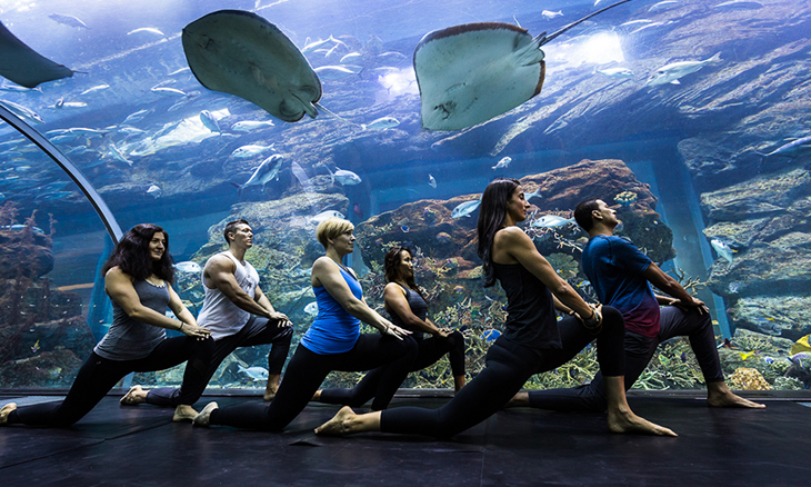 Try Out Underwater Yoga At The Dubai Mall Wellbeing Time Out