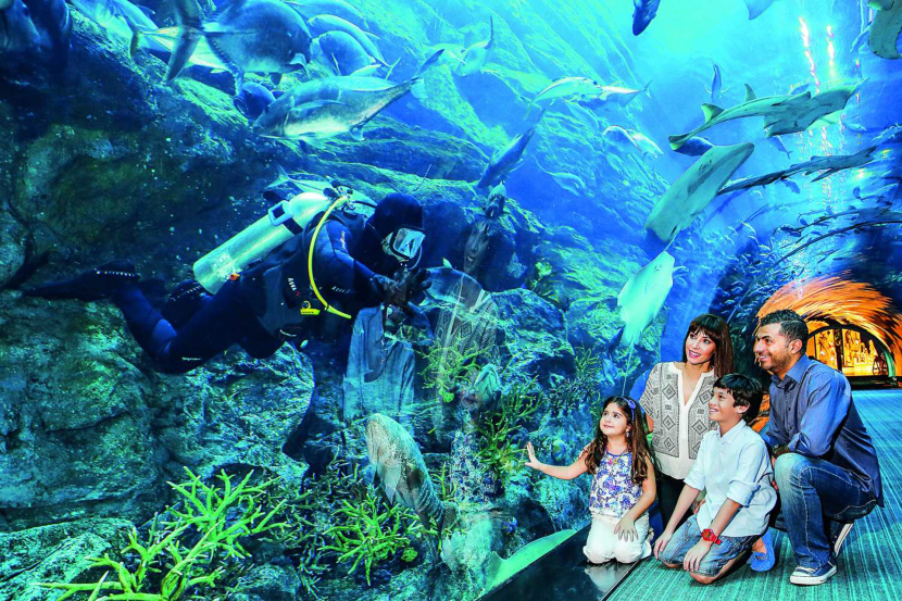 Summer Deal 2019 Free Aquarium And Cinema Access For Kids