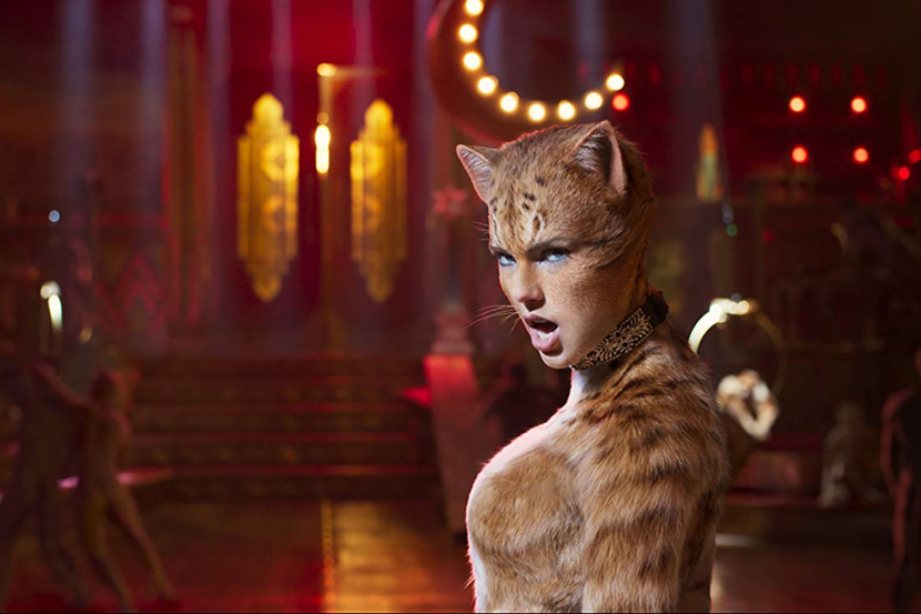 Cats Cats