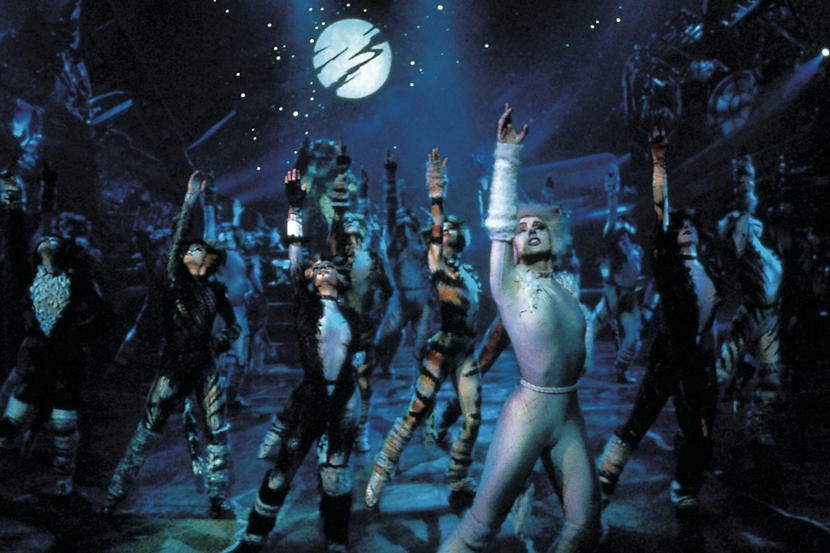 Watch Cats For Free Online In The Uae Culture Time Out Dubai