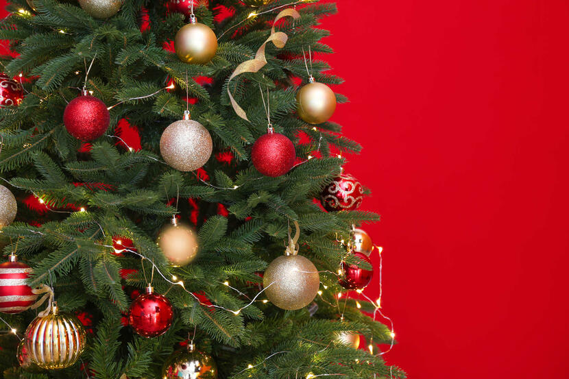 Christmas In Dubai 2020 Where To Buy A Christmas Tree In Dubai Christmas Time Out Dubai