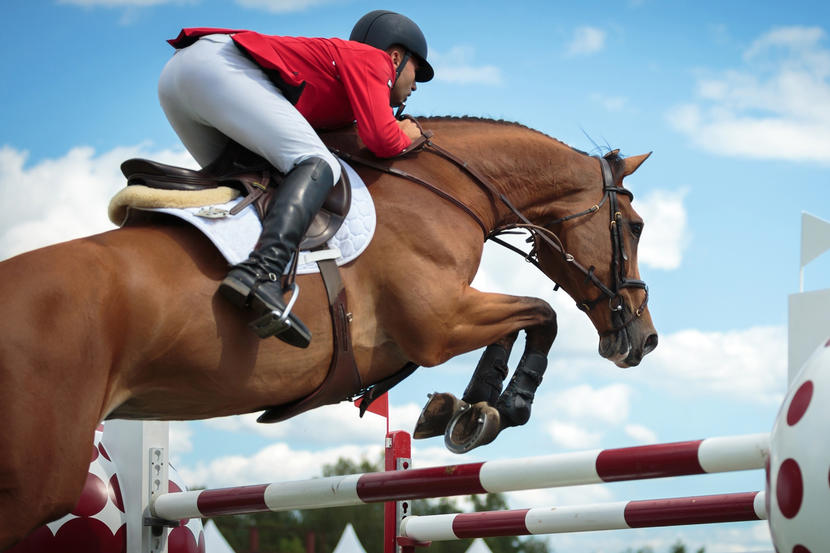 best places to try horse riding in the uae sport wellbeing time out dubai