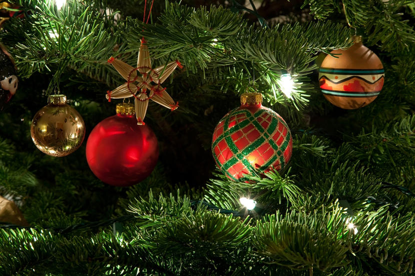 Featured image of post Real Christmas Tree Images / Collection of christmas tree png transparent images (10) real christmas tree png 6ft pre lit snowy christmas tree