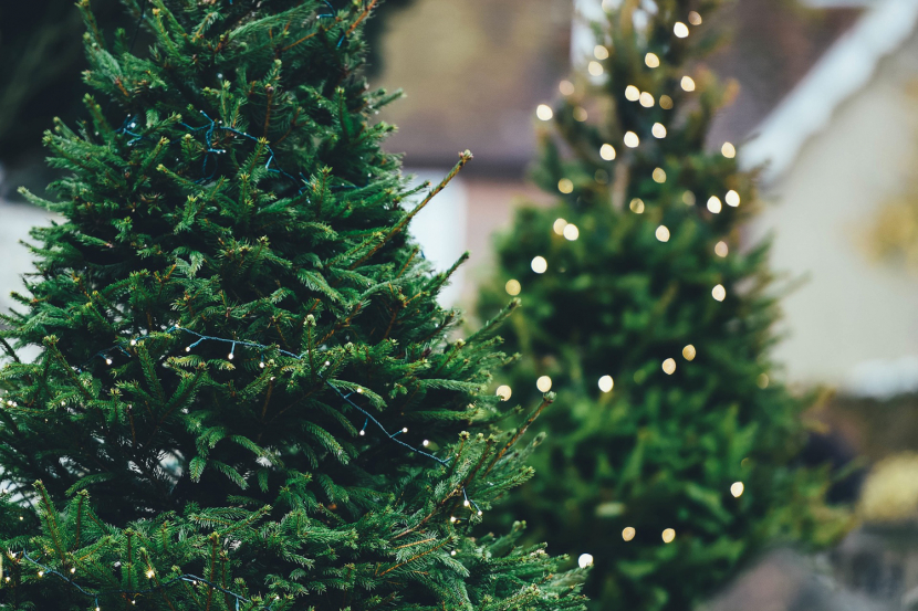 Christmas In Dubai 2019