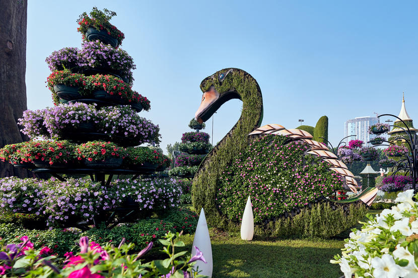 In pictures: Dubai Miracle Garden opens for 2020 season Image #33