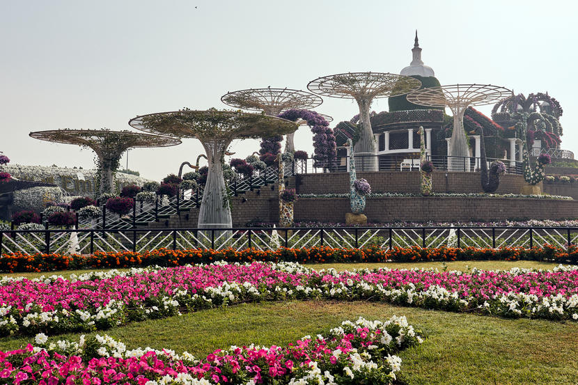 In pictures: Dubai Miracle Garden opens for 2020 season Image #30