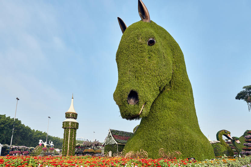 In pictures: Dubai Miracle Garden opens for 2020 season Image #25