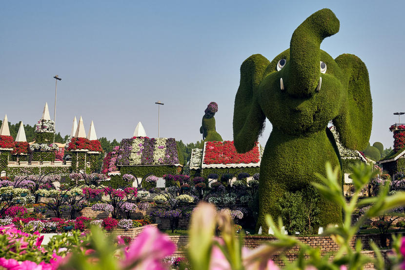 In pictures: Dubai Miracle Garden opens for 2020 season Image #13