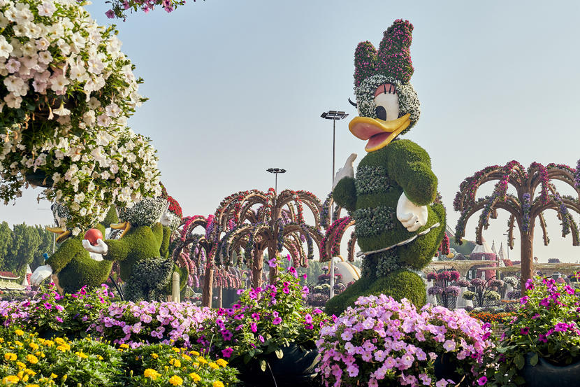 In pictures: Dubai Miracle Garden opens for 2020 season Image #15