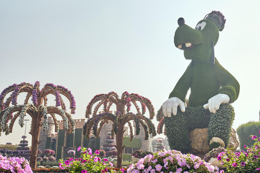 In pictures: Dubai Miracle Garden opens for 2020 season Image #14