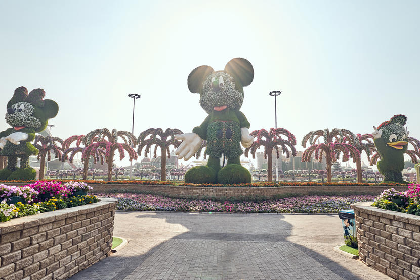 In pictures: Dubai Miracle Garden opens for 2020 season Image #23