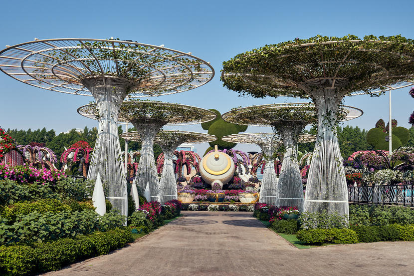 In pictures: Dubai Miracle Garden opens for 2020 season Image #22
