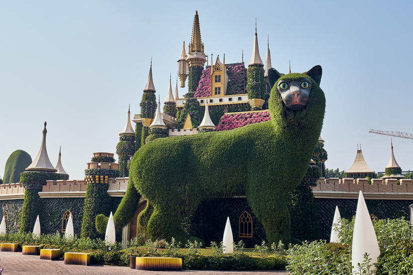 In pictures: Dubai Miracle Garden opens for 2020 season Image #4