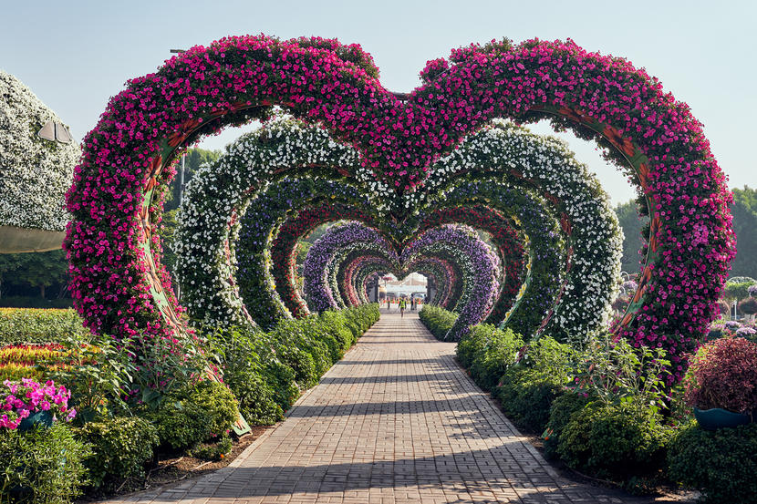 In pictures: Dubai Miracle Garden opens for 2020 season Image #6