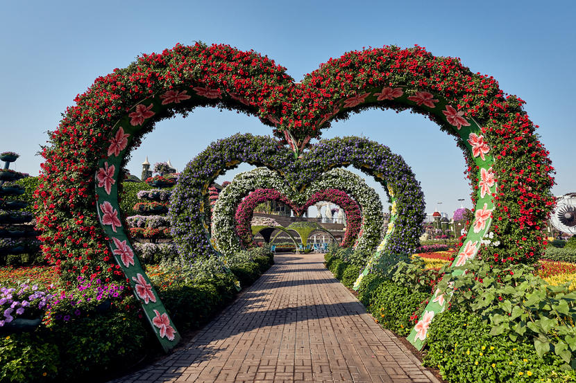 In pictures: Dubai Miracle Garden opens for 2020 season Image #18