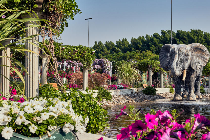 In pictures: Dubai Miracle Garden opens for 2020 season Image #12