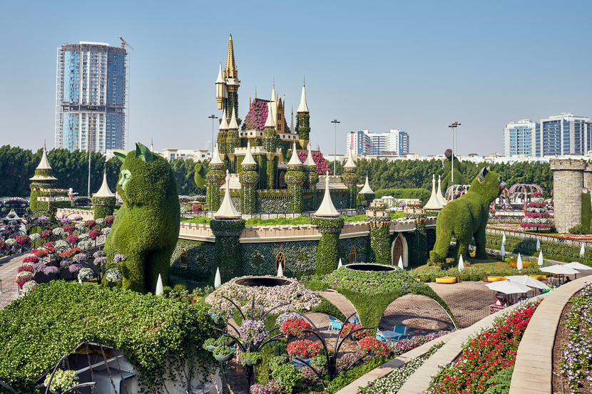 In pictures: Dubai Miracle Garden opens for 2020 season Image #9