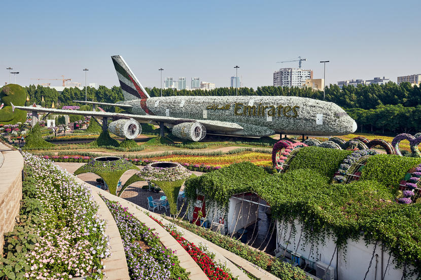In pictures: Dubai Miracle Garden opens for 2020 season Image #7