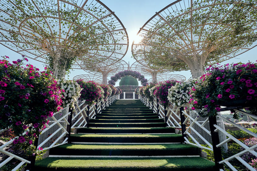 In pictures: Dubai Miracle Garden opens for 2020 season Image #5